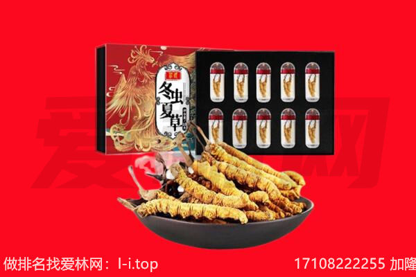 甘南州回收虫草.jpg